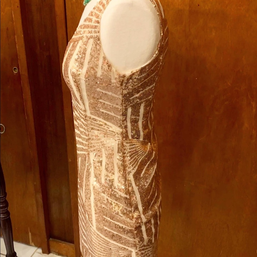 🎀 Glitzy Rose Gold dress